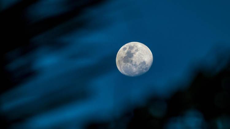 Rare Celestial Phenomenon “Blue Supermoon” to Grace UAE Skies