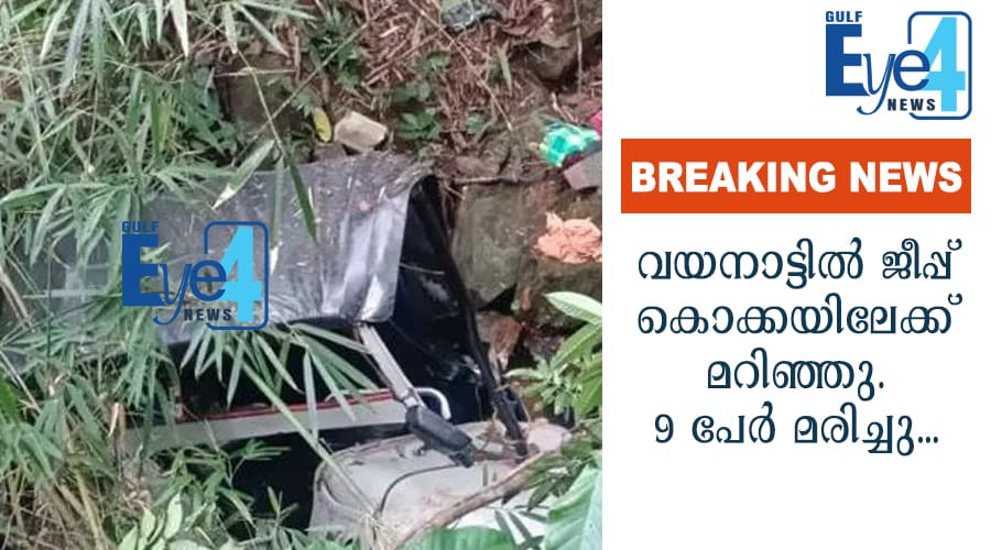 ജീപ്പ് കൊക്കയിലേക്ക് മറിഞ്ഞു; 9 സ്ത്രീകള്‍ക്ക് ദാരുണാന്ത്യം; 3 പേരുടെ നില അതീവ ഗുരുതരം