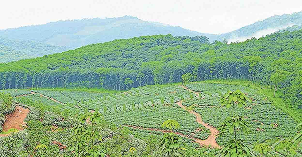 ശബരിമല വിമാനത്താവളം; 2570 ഏക്കര്‍ ഭൂമി ഏറ്റെടുക്കുമെന്ന് മുഖ്യമന്ത്രി