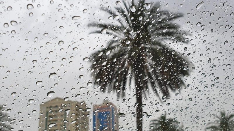 UAE Weather Update: Chance of Rain and Fog in the Forecast