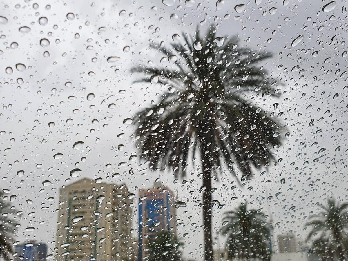 UAE Weather Update: Chance of Rain and Fog in the Forecast