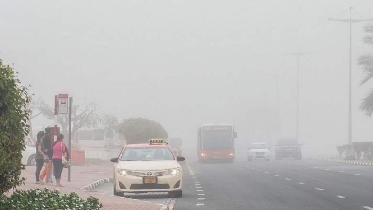 Fog Alerts in UAE: Motorists Advised to Drive Safely