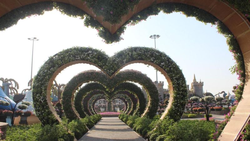 Dubai Miracle Garden Reopens with Exciting New Attractions and Blooms