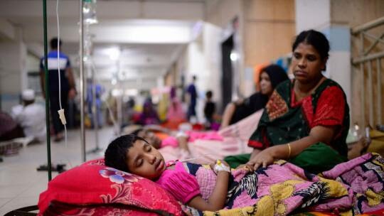 Bangladesh Faces Record Dengue Outbreak; Experts Urge Coordinated Response