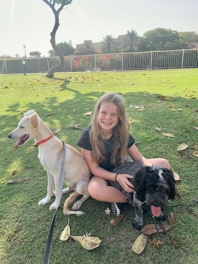 Young Dubai Resident’s Heartwarming Mission for Shelter Dogs